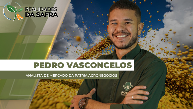 Colheita da soja começa lenta e deve ganhar ritmo no final de janeiro