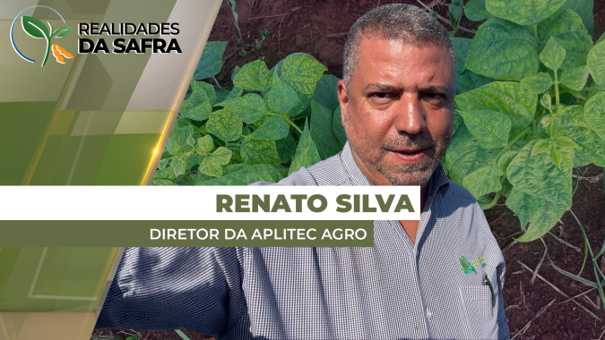 Região de Guaíra/SP registra alta pressão de mosca-branca que pode postegar plantio do feijão
