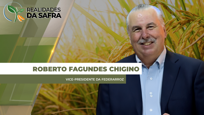 Noites frias no final de 2024 podem ter prejudicado lavouras de arroz na fronteira oeste do RS