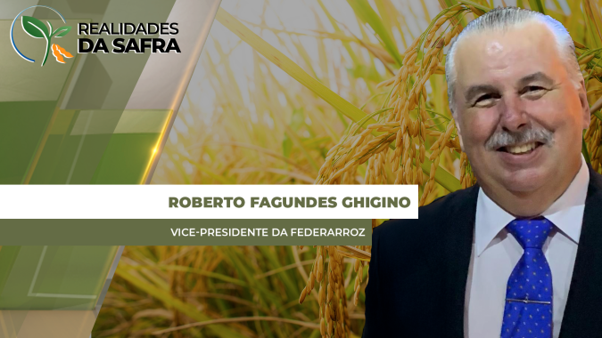 Colheita do arroz chega em 35% no Rio Grande do Sul com produtividades variando pela época de plantio
