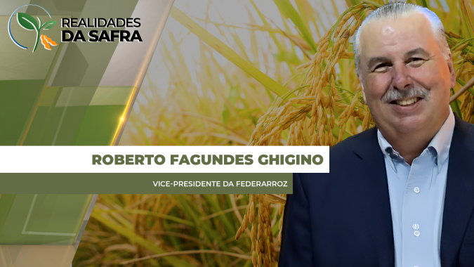Rio Grande do Sul já colheu 95% do arroz e espera boas produtividades