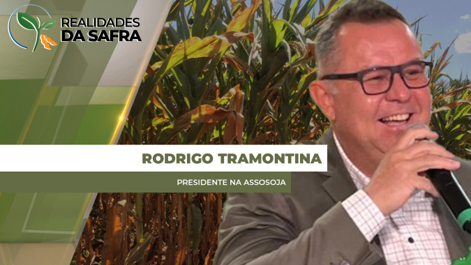 Norte do Paraná já tem perdas consolidadas entre 30 e 40% na safrinha de milho