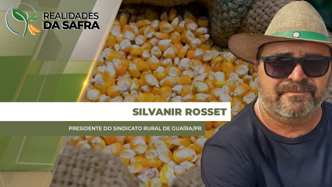 Colheita do milho passa de 90% em Guaíra/PR com produtividades “razoavelmente boas”