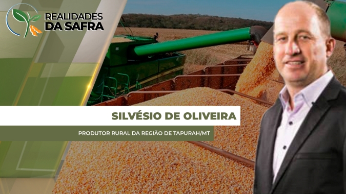 Tapurah/MT fecha safra de milho com produtividade 5% menor do que o esperado