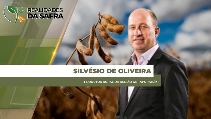 Temperaturas elevadas atrasam o andamento do plantio da soja em Tapurah/MT
