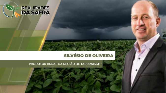Chuvas vêm contribuindo para o desenvolvimento do milho safrinha em Tapurah (MT)