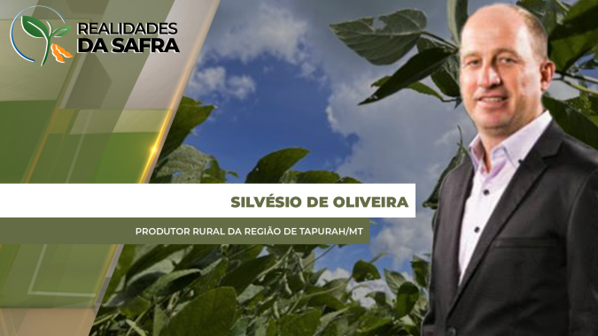 Reta final da colheita da soja com chuva e grãos avariados em Tapurah/MT