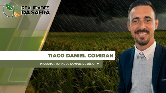 Chuva no final do ciclo do milho dificulta colheita e traz avarias em Campos de Júlio/MT