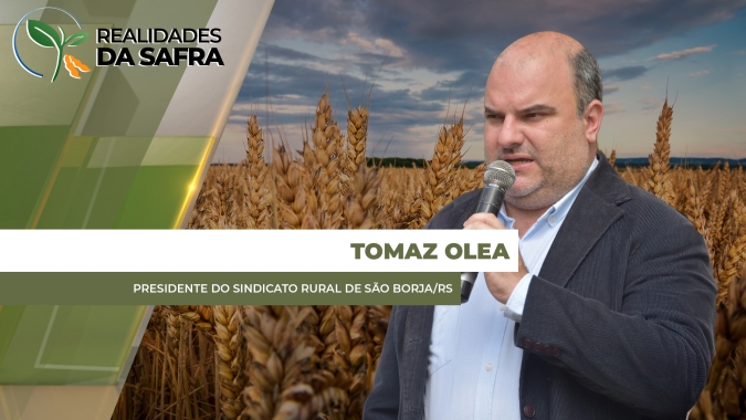 Após início complicado com chuvas, São Borja/RS espera safra razoável de trigo