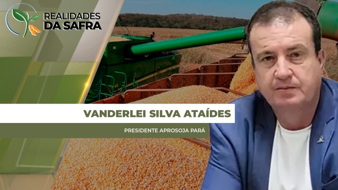 Região de Paragominas se prepara para iniciar a colheita do milho nos próximos dias