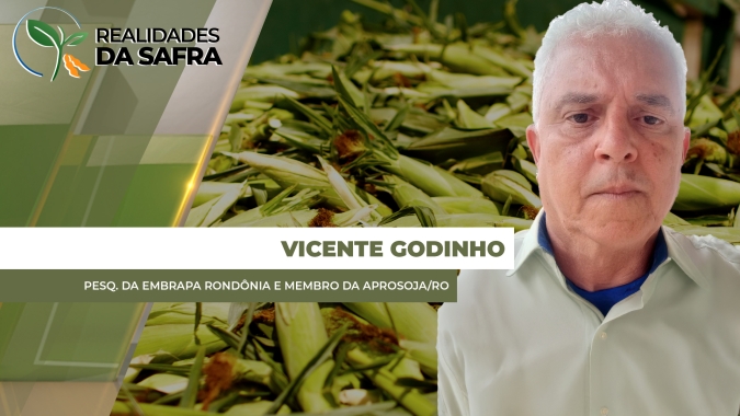 Rondônia espera safra recorde para o milho que começa a ser colhido