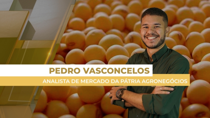 Mercado brasileiro da soja sente impacto mais forte das altas de Chicago nos prêmios, do que nos preços