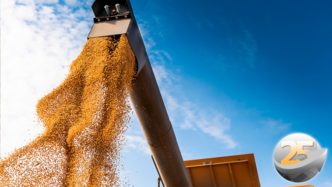 Minas Gerais enfrentou período de pouca luminosidade, mas ainda espera repetir produtividades da safra passada