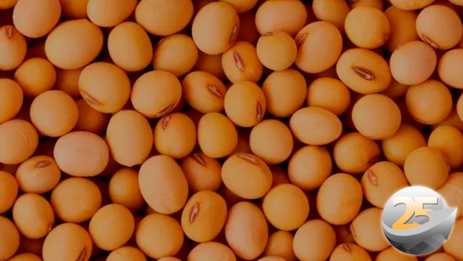 Atuais patamares de preços garantem boa rentabilidade tanto para a soja 2022/23 quanto o milho 2023, calcula Agrinvest