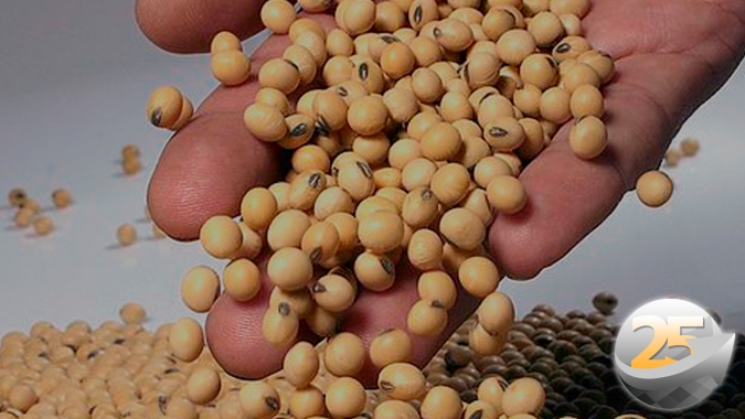 Soja acima dos US$18/ bushel, saiba os motivos que fazem a AgResource a acreditar nesse patamar em Chicago