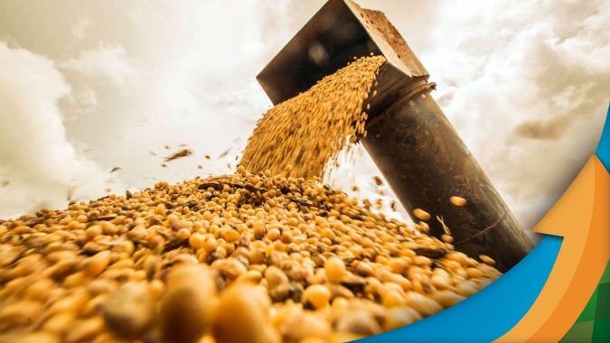 Soja colhida até aqui em Campos de Júlio/MT fica entre 7,5 e 20 sacas por hectare