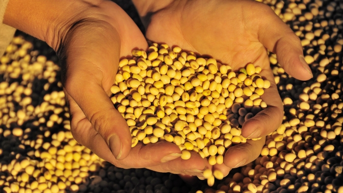 Paragominas é a cidade do Pará mais rica no agronegócio, confirma IBGE