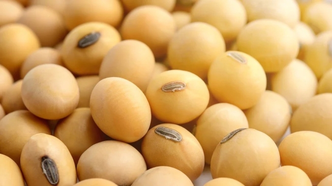 Menor ritmo de vendas da soja deve gerar riscos logísticos para o segundo semestre, aponta Biond Agro