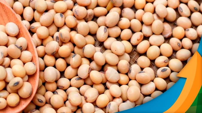 Confirmação de uma safra cheia nos EUA pode levar a soja em Chicago para patamares abaixo dos US$10/bushel, alerta Agrinvest