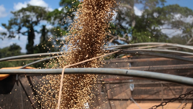 Colheita da soja avança no Tocantins e confirma safra satisfatória, apesar dos desafios logísticos