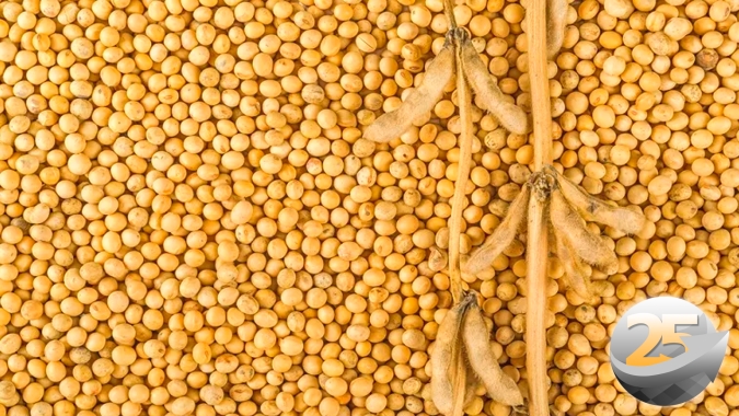 Soja sobe em Chicago e se antecipa ao relatório do USDA que deve trazer uma redução dos estoques mundiais