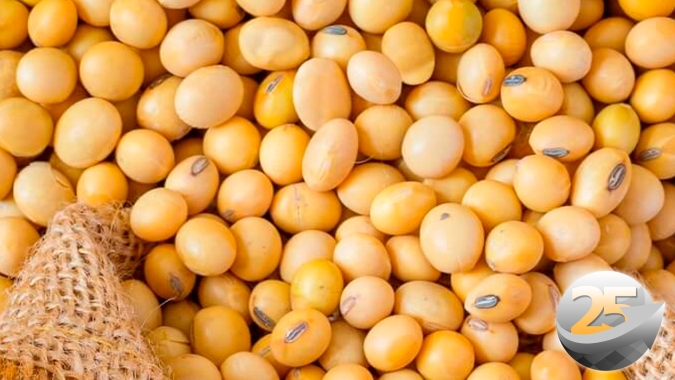 Perspectiva de produtividade maior para soja nos EUA e aversão ao risco afetam mercado em Chicago que tem a terceira queda consecutiva na semana