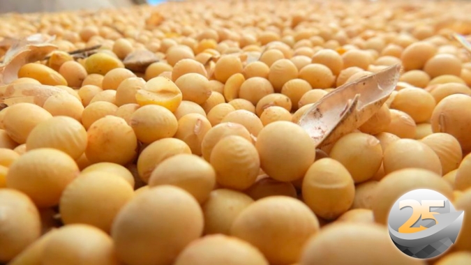 Inflação nos EUA e Covid na China assustam mercado de commodities e soja derrete em Chicago com perdas de mais de 30 pontos