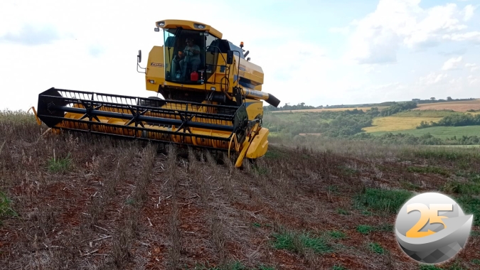 São João/PR perdeu 60% da soja plantada em setembro e cerca de 40% da semeada em outubro