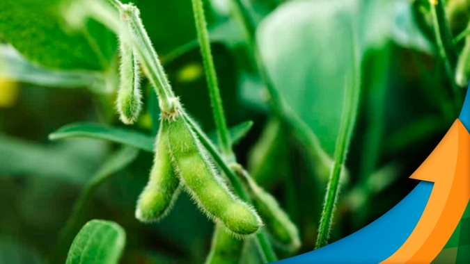 Em Ijuí (RS) a maioria dos produtores conseguiu colher a soja antes das tempestades; cultivo de trigo deve ser drasticamente reduzido