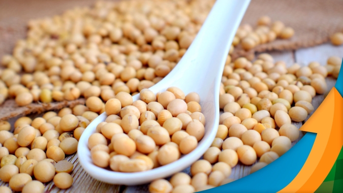 Soja: Em Chicago, mercado espera pelo USDA e no BR, produtor avança com negócios para aproveitar preços