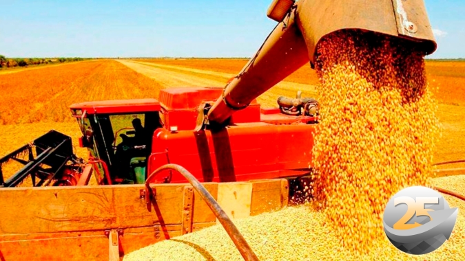 Com 30% das lavouras de soja colhidas, Correntina/BA tem média de 70 sc/ha