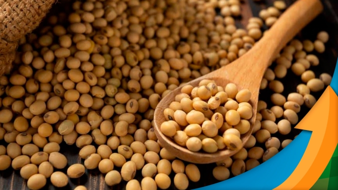 USDA deve reduzir safra brasileira de soja nesta sexta-feira, mas alta expectativa do mercado pode ser armadilha