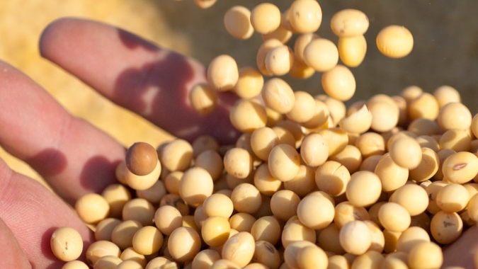 Agricultores argentinos venderam 34,8 mi de t de soja da safra 2020/21