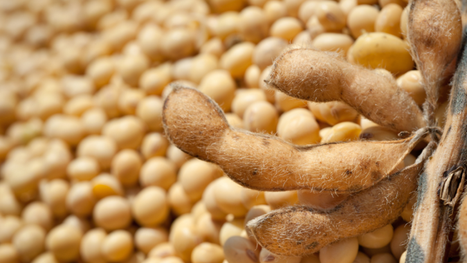 Exportações do agronegócio somam US$ 15,49 bilhões em outubro e registram recorde para o mês