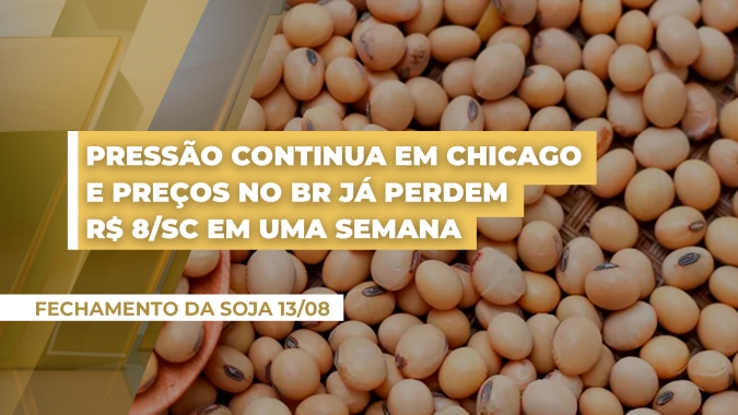 Soja: Pressão continua em Chicago e preços no BR já perdem R$ 8/sc em uma semana