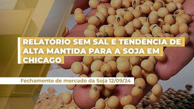 Relatório sem sal do USDA mantém tendência de alta para soja em Chicago  com especuladores se desfazendo de posições vendidas