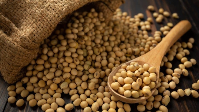 Soja/Cepea: Preço do óleo de soja é o maior em um ano