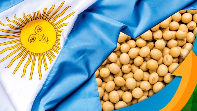Argentina vai para 2º turno das eleições presidenciais bastante incertas prestes a começar nova safra