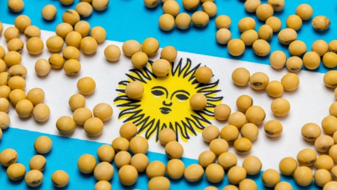China aproveita melhora da competitividade da soja da Argentina e garante compras no país