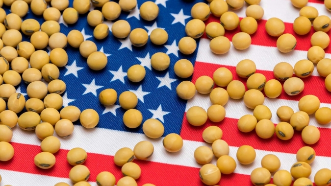 USDA informa novas vendas de soja e volume comprometido, somente nesta semana, passa de 800 mil t