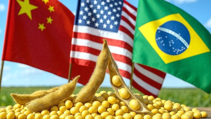 Mesmo mais cara, soja dos EUA atrai China por 'política' e logística, mas Brasil garante janela firme e prêmios altos