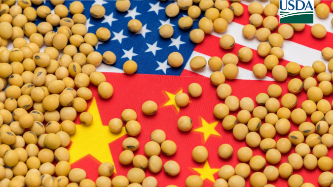 China compra mais 488 mil t de soja 26/27 dos EUA, informa USDA nesta 2ª feira