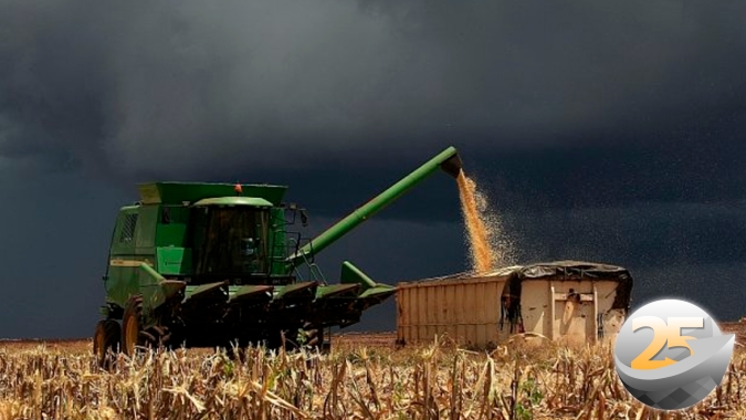 Chuva atrasa colheita da soja, dificulta escoamento da produção e lota armazéns no Tocantins