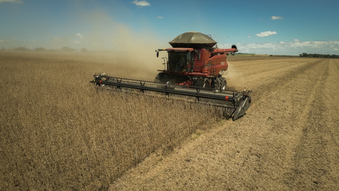 Soja 2024/25: Colheita brasileira chega a 0,23% da área, informa Pátria Agronegócios