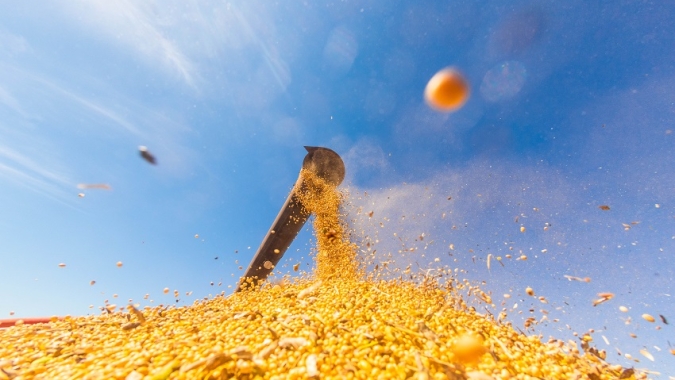 Goiás bate recorde em produção e produtividade de soja na safra 2024/25