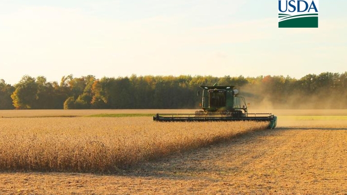 USDA: Colheita da soja passa de 30%, supera expectativas, ano passado e média plurianual