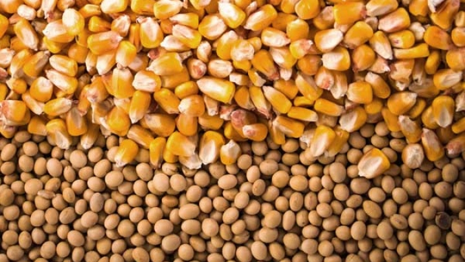 SLC Agrícola está entre as Melhores Empresas para Trabalhar do RS