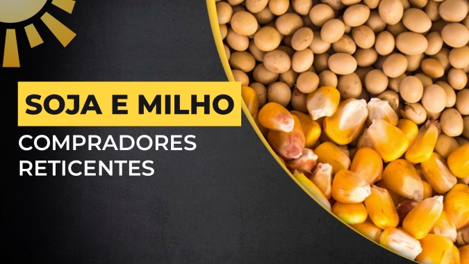 Soja e Milho: Demanda está presente, porém compradores reticentes diante de uma recomposição das ofertas