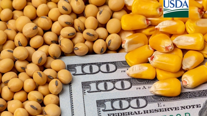 USDA traz vendas semanais de soja e milho 2024/25 acima das expectativas do mercado