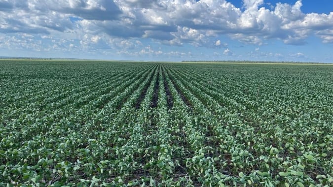 Climatempo: Verão com chuvas irregulares no Matopiba e Centro-Oeste; atenção em MT